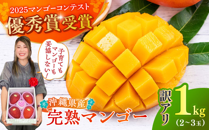 【優秀賞受賞】沖縄県産 完熟マンゴー 訳アリ 1kg (2〜3玉) マンゴー 沖縄 果物 フルーツ ギフト 沖縄市 / MAIFARM [BCAN003]