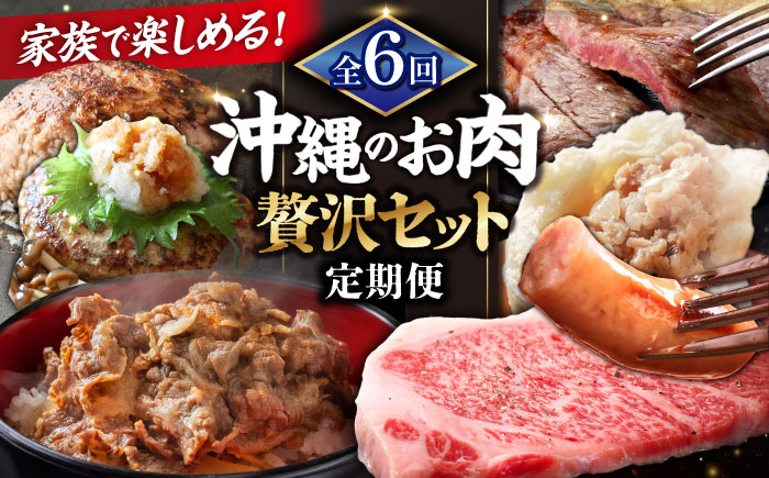 【全6回定期便】家族で満喫！沖縄のお肉贅沢セット【沖縄市】ハンバーグ あぐー 石垣牛 ステーキ 焼肉 冷凍 ギフト お取り寄せ 沖縄市 / お肉屋本店 / 豚々茶舗 / TESIO / 肉のサブロー [BCZZ034]