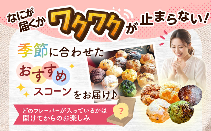 おまかせスコーン 5個セット スコーン 詰め合わせ 焼き菓子 冷凍 ギフト 朝食 おやつ 沖縄市 / ZEBRA.Bagel [BCAE018]