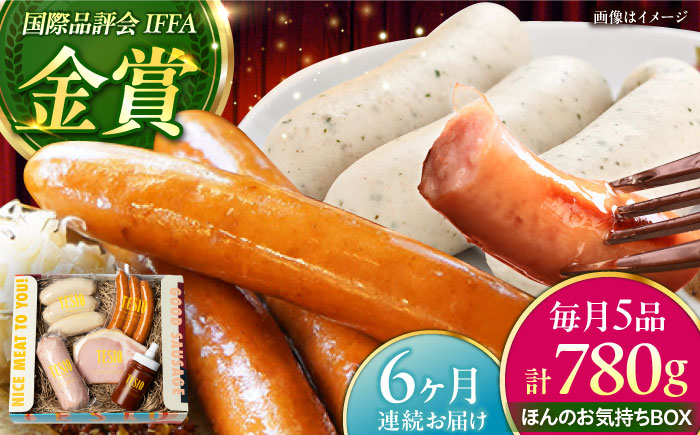 【全6回定期便】TESIOの自家製ハム＆ソーセージ 『ほんのお気持ちBOX』 豚肉 ハム ソーセージ 小分け 真空パック 沖縄市 / TESIO [BCAD011]