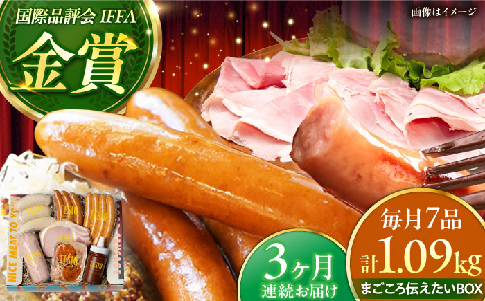 【全3回定期便】TESIOの自家製ハム＆ソーセージ 『まごころ伝えたいBOX』 豚肉 ハム ソーセージ 小分け 真空パック 沖縄市 / TESIO [BCAD013]