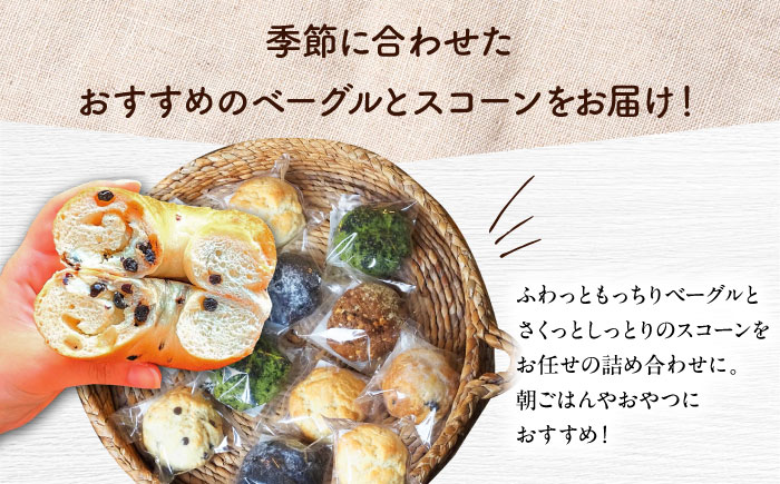 【全12回定期便】厳選おすすめ ベーグル ＆ スコーン 各12個 (24個セット) 詰め合わせ お取り寄せ 冷凍 個包装 沖縄市 / ZEBRA.Bagel [BCAE016]