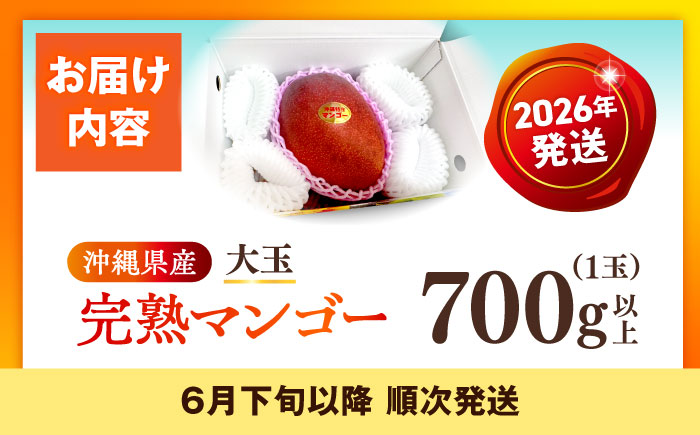 【先行予約】【最優秀賞受賞】沖縄県産 完熟マンゴー 大玉 1個入り マンゴー 沖縄 果物 フルーツ ギフト 沖縄市 / MAIFARM [BCAN005]