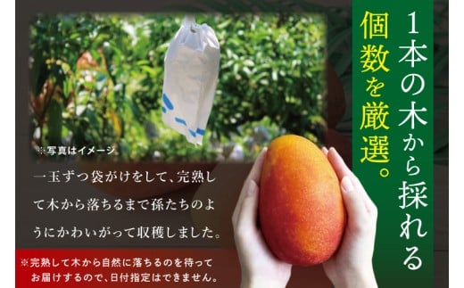 ã2026幎7æããé æ¬¡çºéãè±èŠåç£ãã³ãŽãŒã殿å
ä¹å®(ã©ã
ãã¡ã®ããã)ãçŽ2kg(ãå®¶åºçš)ïœãã³ãŽãŒ ãã«ãŒã æç© ãã ãã® å
è¡äºçŽ å®çãã³ãŽãŒ æ²çžãã«ãŒã å®¶åºçš ãããªã æ²çž æ²çžç è±èŠååž(DR006)