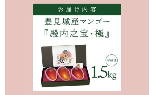 【2026年7月より順次発送】豊見城産マンゴー『殿内之宝(どぅんちのたから)・極』約1.5kg｜マンゴー フルーツ 果物 くだもの 先行予約 完熟マンゴー 沖縄フルーツ おきなわ 沖縄 沖縄県 豊見城市(DR002)