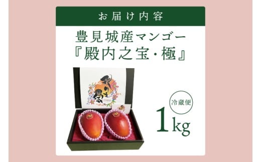 【2026年7月より順次発送】豊見城産マンゴー『殿内之宝(どぅんちのたから)・極』約1kg｜マンゴー フルーツ 果物 くだもの 先行予約 完熟マンゴー 沖縄フルーツ おきなわ 沖縄 沖縄県 豊見城市(DR001)