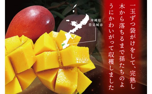 【2026年7月より順次発送】豊見城産マンゴー『殿内之宝(どぅんちのたから)・極』約1kg｜マンゴー フルーツ 果物 くだもの 先行予約 完熟マンゴー 沖縄フルーツ おきなわ 沖縄 沖縄県 豊見城市(DR001)