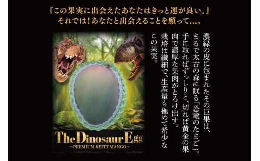 【2026年8月より順次発送】【THE Dinosaur Egg】プレミアムキーツマンゴー 1玉(約750g以上)｜マンゴー キーツマンゴー フルーツ 果物 くだもの 先行予約 贈り物 プレゼント お土産 ギフト 沖縄 おきなわ 沖縄県 豊見城市(BV013)