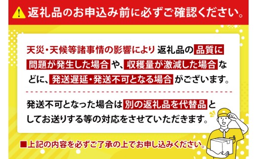 【2026年8月より順次発送】【THE Dinosaur Egg】プレミアムキーツマンゴー 1玉(約750g以上)｜マンゴー キーツマンゴー フルーツ 果物 くだもの 先行予約 贈り物 プレゼント お土産 ギフト 沖縄 おきなわ 沖縄県 豊見城市(BV013)