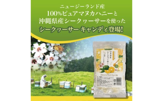 マヌカハニー＆沖縄県産シークヮーサーとマヌカ&シークヮーサーキャンディセット｜はちみつ ハチミツ 蜂蜜 マヌカハニー シークワーサー キャンディ セット ビタミン お土産 ギフト プレゼント お祝い 人気 沖縄 沖縄県 豊見城市(DK008)