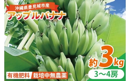 アップルバナナ 約3kg｜バナナ ばなな アップルバナナ フルーツ くだもの 果物 沖縄フルーツ 有機肥料 沖縄 沖縄県 豊見城市(DL002)