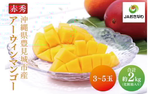 【2026年6月より順次発送】【先行予約】赤秀アーウィンマンゴー 3～5玉(約2kg)(化粧箱)｜沖縄県 豊見城市 マンゴー アーウィンマンゴー フルーツ 果物 くだもの おきなわマンゴー ギフト 贈り物 化粧箱入り 先行予約(AE004)