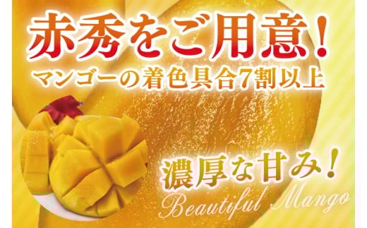 ã2026幎6æããé æ¬¡çºéããå
è¡äºçŽãèµ€ç§ã¢ãŒãŠã£ã³ãã³ãŽãŒ 3ïœ5ç(çŽ2kg)(åç²§ç®±)ïœæ²çžç è±èŠååž ãã³ãŽãŒ ã¢ãŒãŠã£ã³ãã³ãŽãŒ ãã«ãŒã æç© ãã ãã® ãããªããã³ãŽãŒ ã®ãã èŽãç© åç²§ç®±å
¥ã å
è¡äºçŽ(AE004)