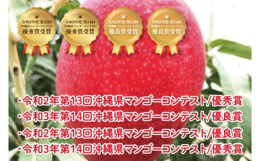 【2026年6月より順次発送】【先行予約】赤秀アーウィンマンゴー 3～4玉(約1.5kg)(化粧箱)｜沖縄県 豊見城市 マンゴー アーウィンマンゴー フルーツ 果物 くだもの おきなわマンゴー ギフト 贈り物 化粧箱入り 先行予約(AE003)