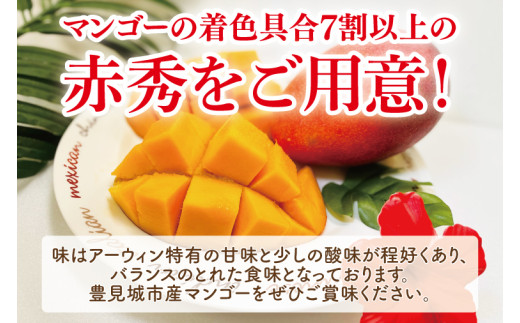 【2026年6月より順次発送】【先行予約】赤秀アーウィンマンゴー 3～4玉(約1.5kg)(化粧箱)｜沖縄県 豊見城市 マンゴー アーウィンマンゴー フルーツ 果物 くだもの おきなわマンゴー ギフト 贈り物 化粧箱入り 先行予約(AE003)