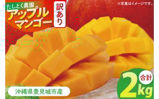 【2026年6月下旬より順次発送】★訳あり★沖縄県豊見城市産アップルマンゴー 約2kg｜マンゴー アップルマンゴー 訳あり わけあり フルーツ くだもの 果物 先行予約 数量限定 おきなわ 沖縄 沖縄フルーツ 豊見城市(DJ002)