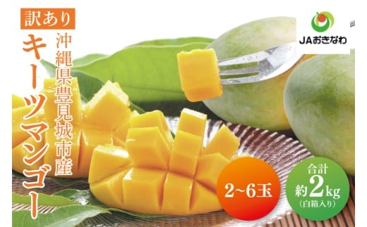 【2026年8月より順次発送】★訳あり★キーツマンゴー 2～6玉(約2kg)【白箱】ご家庭用｜訳あり わけあり 訳アリ キーツマンゴー マンゴー キーツ フルーツ 先行予約 果物 くだもの おきなわマンゴー 家庭用 沖縄県 豊見城市(AE016)