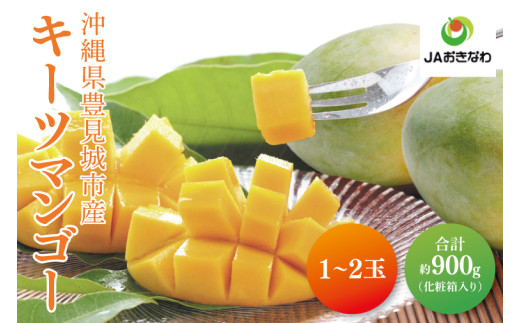 【2026年8月より順次発送】キーツマンゴー 1～2玉(約900g)【化粧箱】｜マンゴー キーツマンゴー フルーツ 果物 くだもの おきなわマンゴー 先行予約 ギフト 贈り物 化粧箱入り 沖縄県 豊見城市 送料無料(AE014)