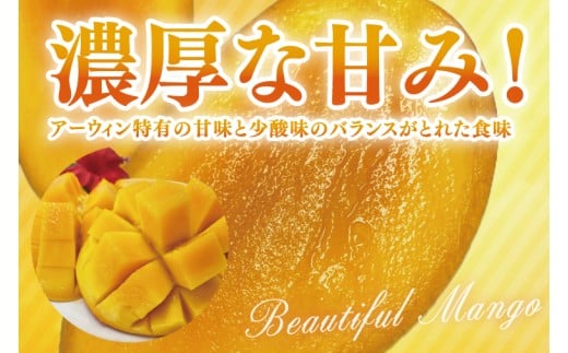 【2026年6月より順次発送】【先行予約】アーウィンマンゴー 3～6玉(約1.5kg)【白箱】 ご家庭用｜マンゴー アーウィンマンゴー アーウィン フルーツ 果物 くだもの おきなわマンゴー おきなわ 沖縄県 豊見城市 家庭用(AE012)