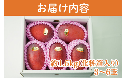 【2026年6月より順次発送】【先行予約】アーウィンマンゴー 3～6玉(約1.5kg)【白箱】 ご家庭用｜マンゴー アーウィンマンゴー アーウィン フルーツ 果物 くだもの おきなわマンゴー おきなわ 沖縄県 豊見城市 家庭用(AE012)
