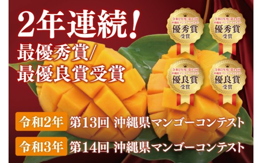 【2026年6月より順次発送】【先行予約】アーウィンマンゴー 3～6玉(約1.5kg)【白箱】 ご家庭用｜マンゴー アーウィンマンゴー アーウィン フルーツ 果物 くだもの おきなわマンゴー おきなわ 沖縄県 豊見城市 家庭用(AE012)
