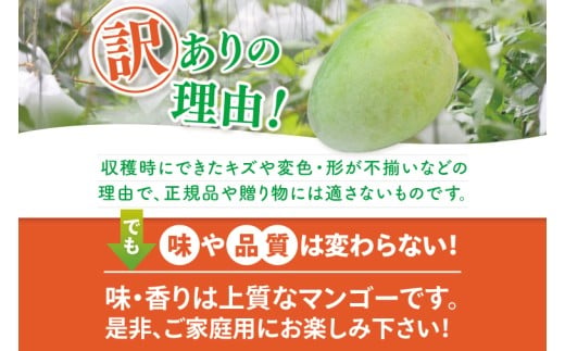 【2026年6月より順次発送】【先行予約】アーウィンマンゴー 3～6玉(約1.5kg)【白箱】 ご家庭用｜マンゴー アーウィンマンゴー アーウィン フルーツ 果物 くだもの おきなわマンゴー おきなわ 沖縄県 豊見城市 家庭用(AE012)