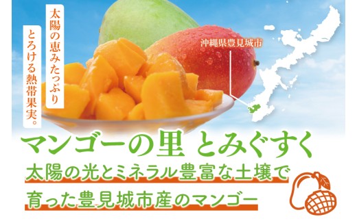 【2026年6月より順次発送】【先行予約】★訳あり★アーウィンマンゴー 3～5玉(約2kg)【白箱】 ご家庭用｜マンゴー アーウィンマンゴー アーウィン フルーツ 果物 くだもの おきなわマンゴー おきなわ 沖縄県 豊見城市 家庭用(AE011)