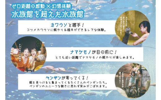 「DMMかりゆし水族館」入場券 大人1名(18歳以上)｜水族館 入場券 チケット 旅行 観光 沖縄旅行 沖縄 おきなわ 豊見城市(DG001)