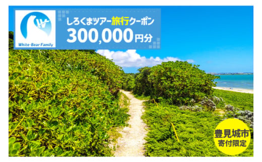 【豊見城市】しろくまツアーで利用可能なWEB旅行クーポン(300,000円分)｜旅行 観光 ツアー トラベル 宿泊 ホテル 沖縄 沖縄旅行 海 おきなわ 豊見城市 人気 送料無料（CV017）