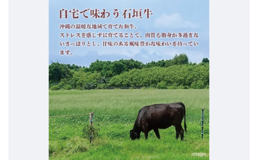 石垣牛モモステーキ 計400g(約200g×2枚)｜肉 お肉 にく 牛肉 モモ ステーキ モモステーキ 石垣牛 沖縄 沖縄県 豊見城市 送料無料 人気(AG028)