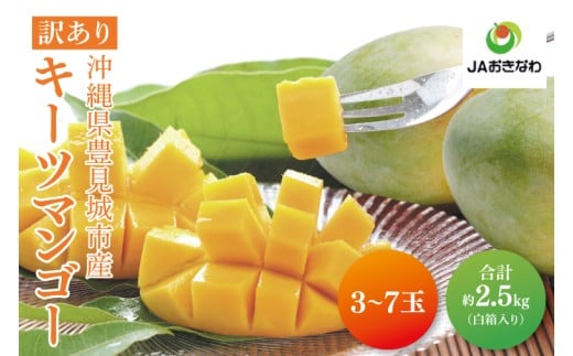 【2026年8月より順次発送】★訳あり★キーツマンゴー 3～7玉(約2.5kg)(白箱)ご家庭用｜訳あり わけあり 訳アリ キーツマンゴー マンゴー キーツ フルーツ 果物 くだもの おきなわマンゴー 家庭用 沖縄県 豊見城市(AE017)