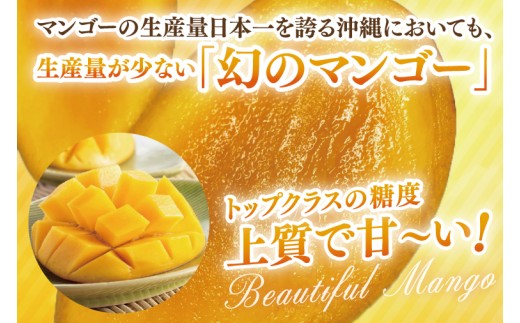 【2026年8月より順次発送】キーツマンゴー 2～3玉(約2kg)(化粧箱)｜沖縄県 豊見城市 マンゴー キーツマンゴー フルーツ 果物 くだもの おきなわマンゴー 先行予約 ギフト 贈り物 化粧箱入り 先行予約(AE015)