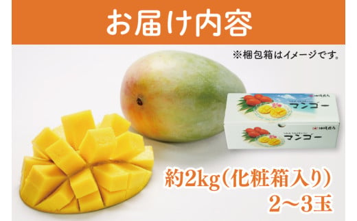 【2026年8月より順次発送】キーツマンゴー 2～3玉(約2kg)(化粧箱)｜沖縄県 豊見城市 マンゴー キーツマンゴー フルーツ 果物 くだもの おきなわマンゴー 先行予約 ギフト 贈り物 化粧箱入り 先行予約(AE015)