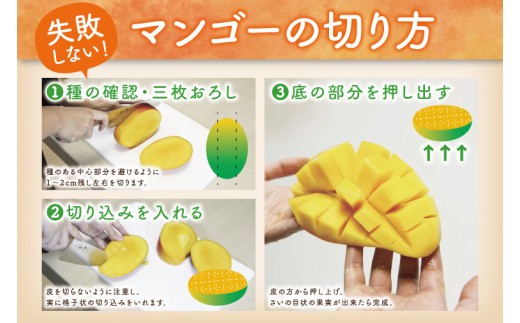 【2026年8月より順次発送】キーツマンゴー 2～3玉(約2kg)(化粧箱)｜沖縄県 豊見城市 マンゴー キーツマンゴー フルーツ 果物 くだもの おきなわマンゴー 先行予約 ギフト 贈り物 化粧箱入り 先行予約(AE015)