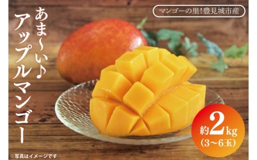 【2026年6月下旬より順次発送】マンゴーの里！豊見城市産♪あま～い♪アップルマンゴー 約2kg(3～6玉)(家庭用)｜マンゴー アップルマンゴー フルーツ 果物 くだもの 先行予約 沖縄 おきなわ 沖縄県 豊見城市 先行予約(BV007-1)