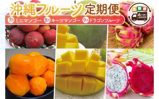 【2026年7月より順次発送】【3ヶ月定期便】沖縄フルーツ定期便(7・8・9月コース)｜フルーツ くだもの 果物 マンゴー キーツマンゴー ドラゴンフルーツ 名護パイン園 定期便 フルーツ定期便 先行予約 沖縄県 豊見城市(AC021)