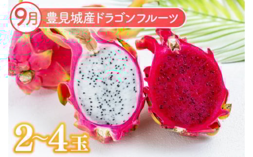 ã2026幎7æããé æ¬¡çºéãã3ã¶æå®æäŸ¿ãæ²çžãã«ãŒãå®æäŸ¿(7ã»8ã»9æã³ãŒã¹)ïœãã«ãŒã ãã ãã® æç© ãã³ãŽãŒ ããŒããã³ãŽãŒ ãã©ãŽã³ãã«ãŒã åè·ãã€ã³å å®æäŸ¿ ãã«ãŒãå®æäŸ¿ å
è¡äºçŽ æ²çžç è±èŠååž(AC021)