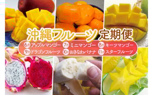 【2026年6月より順次発送】【6ヶ月定期便】沖縄フルーツ定期便(6～11月コース)｜フルーツ くだもの 果物 スターフルーツ マンゴー アップルマンゴー ミニマンゴー キーツマンゴー ドラゴンフルーツ バナナ 名護パイン園 定期便 フルーツ定期便 沖縄フルーツ おきなわ 沖縄県 豊見城市(AC019)