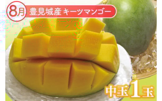 ã2026幎6æããé æ¬¡çºéãã6ã¶æå®æäŸ¿ãæ²çžãã«ãŒãå®æäŸ¿(6ïœ11æã³ãŒã¹)ïœãã«ãŒã ãã ãã® æç© ã¹ã¿ãŒãã«ãŒã ãã³ãŽãŒ ã¢ããã«ãã³ãŽãŒ ãããã³ãŽãŒ ããŒããã³ãŽãŒ ãã©ãŽã³ãã«ãŒã ããã åè·ãã€ã³å å®æäŸ¿ ãã«ãŒãå®æäŸ¿ æ²çžãã«ãŒã ãããªã æ²çžç è±èŠååž(AC019)