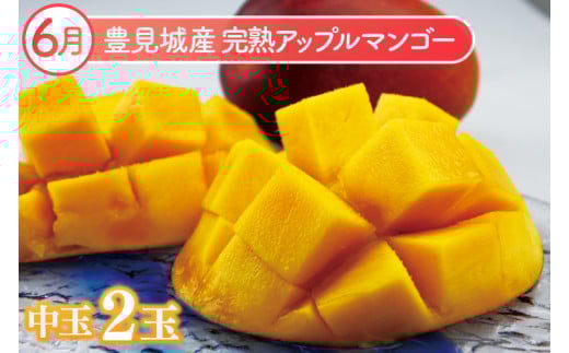 ã2026幎6æããé æ¬¡çºéãã6ã¶æå®æäŸ¿ãæ²çžãã«ãŒãå®æäŸ¿(6ïœ11æã³ãŒã¹)ïœãã«ãŒã ãã ãã® æç© ã¹ã¿ãŒãã«ãŒã ãã³ãŽãŒ ã¢ããã«ãã³ãŽãŒ ãããã³ãŽãŒ ããŒããã³ãŽãŒ ãã©ãŽã³ãã«ãŒã ããã åè·ãã€ã³å å®æäŸ¿ ãã«ãŒãå®æäŸ¿ æ²çžãã«ãŒã ãããªã æ²çžç è±èŠååž(AC019)