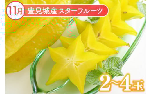 ã2026幎6æããé æ¬¡çºéãã6ã¶æå®æäŸ¿ãæ²çžãã«ãŒãå®æäŸ¿(6ïœ11æã³ãŒã¹)ïœãã«ãŒã ãã ãã® æç© ã¹ã¿ãŒãã«ãŒã ãã³ãŽãŒ ã¢ããã«ãã³ãŽãŒ ãããã³ãŽãŒ ããŒããã³ãŽãŒ ãã©ãŽã³ãã«ãŒã ããã åè·ãã€ã³å å®æäŸ¿ ãã«ãŒãå®æäŸ¿ æ²çžãã«ãŒã ãããªã æ²çžç è±èŠååž(AC019)