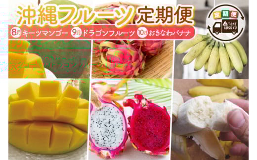 【2026年8月より順次発送】【3ヶ月定期便】沖縄フルーツ定期便(8・9・10月コース)｜フルーツ くだもの 果物 マンゴー キーツマンゴー ドラゴンフルーツ バナナ 名護パイン園 定期便 フルーツ定期便 沖縄フルーツ 先行予約 おきなわ 沖縄県 豊見城市(AC017)