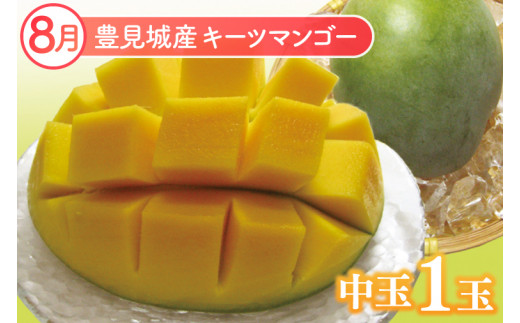 ã2026幎8æããé æ¬¡çºéãã3ã¶æå®æäŸ¿ãæ²çžãã«ãŒãå®æäŸ¿(8ã»9ã»10æã³ãŒã¹)ïœãã«ãŒã ãã ãã® æç© ãã³ãŽãŒ ããŒããã³ãŽãŒ ãã©ãŽã³ãã«ãŒã ããã åè·ãã€ã³å å®æäŸ¿ ãã«ãŒãå®æäŸ¿ æ²çžãã«ãŒã å
è¡äºçŽ ãããªã æ²çžç è±èŠååž(AC017)