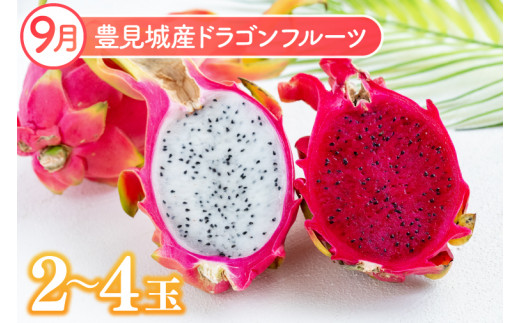 ã2026幎8æããé æ¬¡çºéãã3ã¶æå®æäŸ¿ãæ²çžãã«ãŒãå®æäŸ¿(8ã»9ã»10æã³ãŒã¹)ïœãã«ãŒã ãã ãã® æç© ãã³ãŽãŒ ããŒããã³ãŽãŒ ãã©ãŽã³ãã«ãŒã ããã åè·ãã€ã³å å®æäŸ¿ ãã«ãŒãå®æäŸ¿ æ²çžãã«ãŒã å
è¡äºçŽ ãããªã æ²çžç è±èŠååž(AC017)