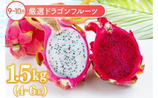 ã6åå®æäŸ¿ãè±èŠå 極äžãã«ãŒãå®æäŸ¿(å
š6å)ïœãã«ãŒã ãã ãã® æç© æ²çžãã«ãŒã ãã³ãŽãŒ ããã ããã·ã§ã³ãã«ãŒã ã¢ãã¢ã€ ã¢ããã«ãã³ãŽãŒ ãã©ãŽã³ãã«ãŒã ããŒããã³ãŽãŒ å®æäŸ¿ ãã«ãŒãå®æäŸ¿ æ²çžç è±èŠååž äººæ° éæç¡æ(AC023)