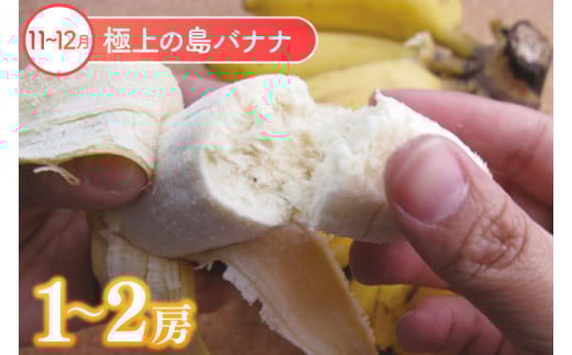 ã6åå®æäŸ¿ãè±èŠå 極äžãã«ãŒãå®æäŸ¿(å
š6å)ïœãã«ãŒã ãã ãã® æç© æ²çžãã«ãŒã ãã³ãŽãŒ ããã ããã·ã§ã³ãã«ãŒã ã¢ãã¢ã€ ã¢ããã«ãã³ãŽãŒ ãã©ãŽã³ãã«ãŒã ããŒããã³ãŽãŒ å®æäŸ¿ ãã«ãŒãå®æäŸ¿ æ²çžç è±èŠååž äººæ° éæç¡æ(AC023)