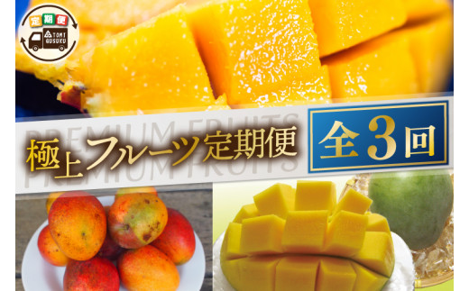 【2026年6月より順次発送】【3ヶ月定期便】豊見城 極上フルーツ定期便(6・7・8月コース)｜フルーツ くだもの 果物 マンゴー アップルマンゴー キーツマンゴー 名護パイン園 定期便 フルーツ定期便 先行予約 沖縄県 豊見城市(AC022)