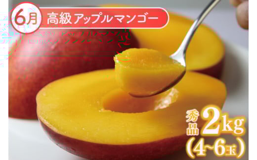 【2026年6月より順次発送】【3ヶ月定期便】豊見城 極上フルーツ定期便(6・7・8月コース)｜フルーツ くだもの 果物 マンゴー アップルマンゴー キーツマンゴー 名護パイン園 定期便 フルーツ定期便 先行予約 沖縄県 豊見城市(AC022)