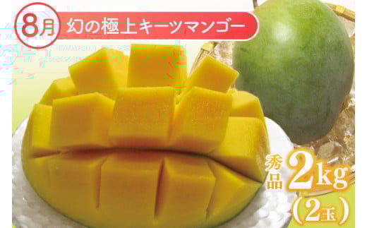 【2026年6月より順次発送】【3ヶ月定期便】豊見城 極上フルーツ定期便(6・7・8月コース)｜フルーツ くだもの 果物 マンゴー アップルマンゴー キーツマンゴー 名護パイン園 定期便 フルーツ定期便 先行予約 沖縄県 豊見城市(AC022)