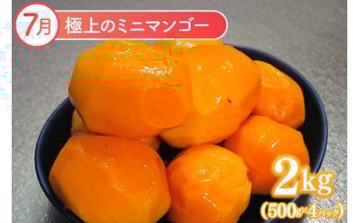 【2026年6月より順次発送】【3ヶ月定期便】豊見城 極上フルーツ定期便(6・7・8月コース)｜フルーツ くだもの 果物 マンゴー アップルマンゴー キーツマンゴー 名護パイン園 定期便 フルーツ定期便 先行予約 沖縄県 豊見城市(AC022)